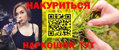 стаф Кингисепп